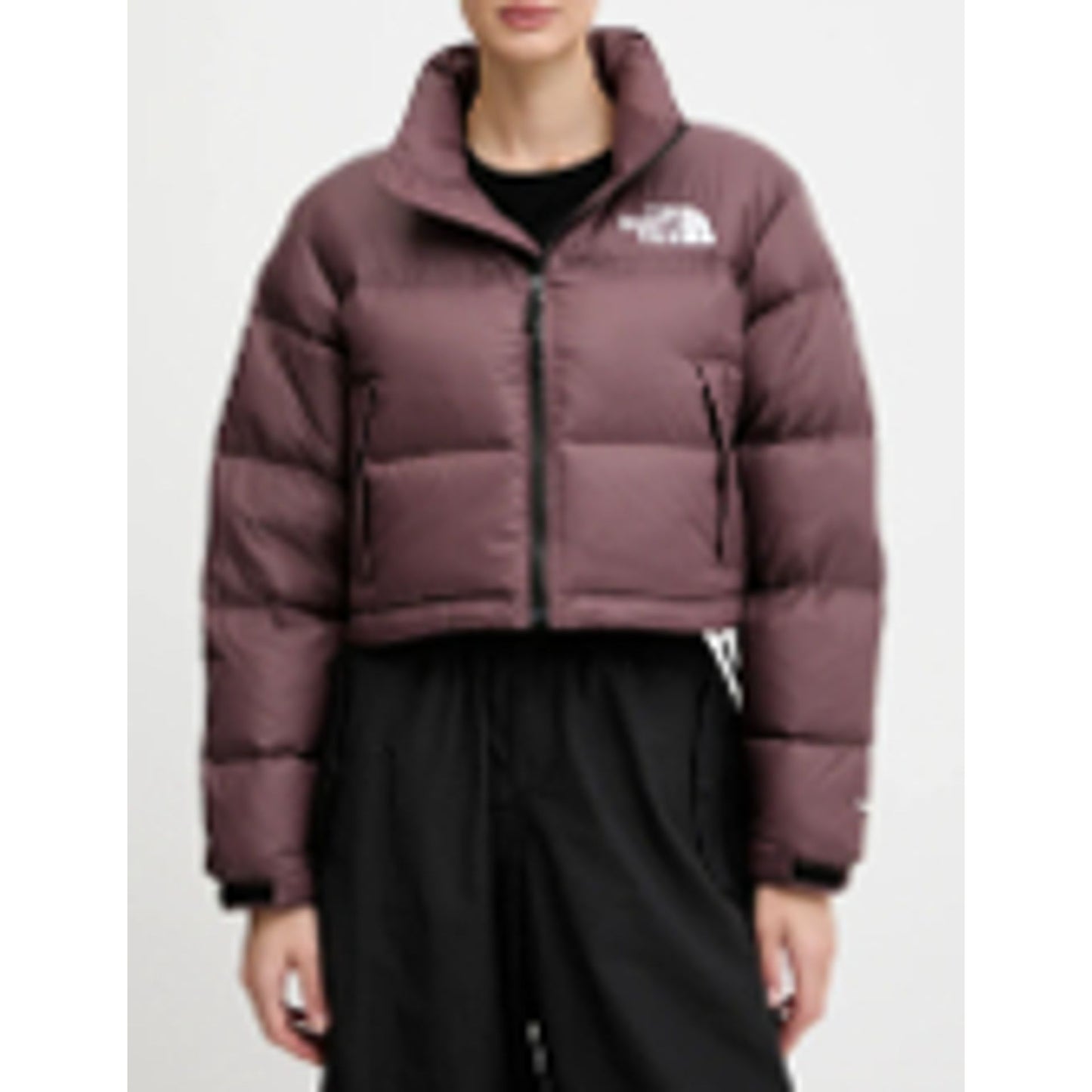 The North Face Vestes